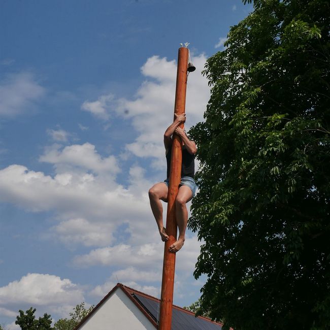 Spielewiese: Kletterbaum