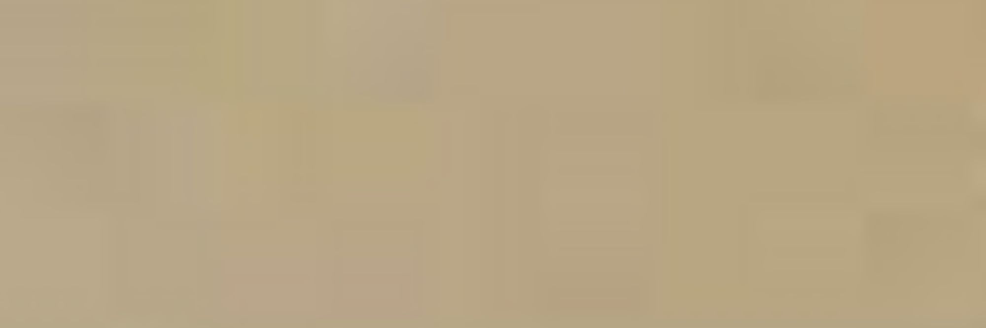 Faustball Frauen mit Licht und Schatten