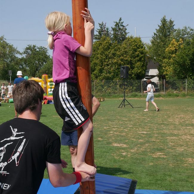 Spielewiese: Kletterbaum