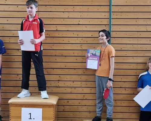 TT-Minimeisterschaften, Bezirksentscheid Stuttgart