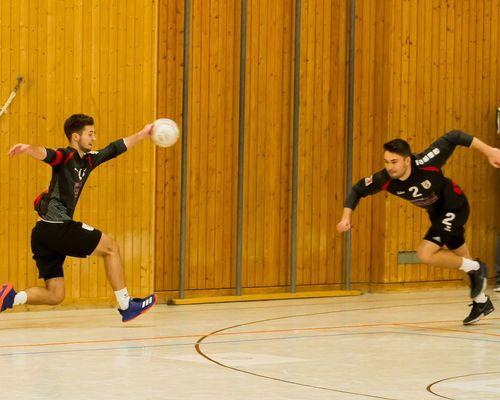 1. BL: Zwei Heimniederlagen