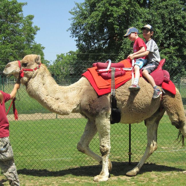 Impressionen vergangener Pfingstcamps