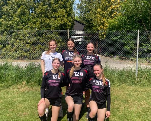 Erfolgreicher Start in den Faustball-Marathon