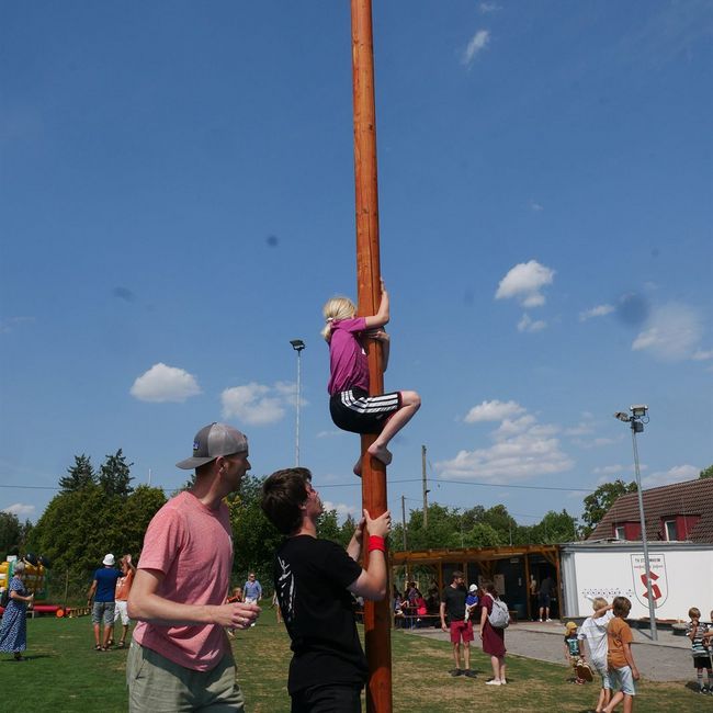 Spielewiese: Kletterbaum