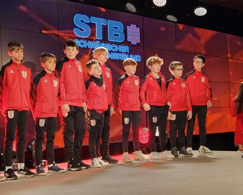 TVS Faustballer geehrt