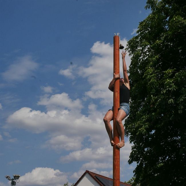 Spielewiese: Kletterbaum
