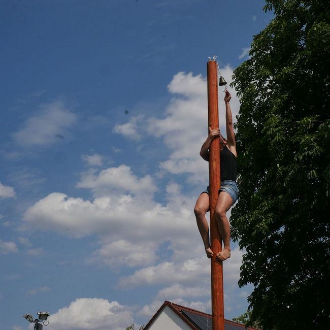 Spielewiese: Kletterbaum